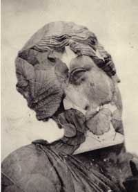 emil cadoo